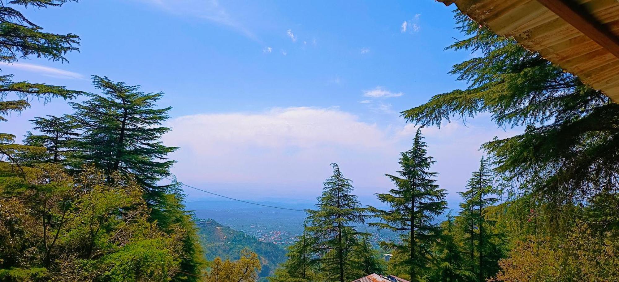 Mcleodganj Bed & Breakfast McLeod Ganj Esterno foto